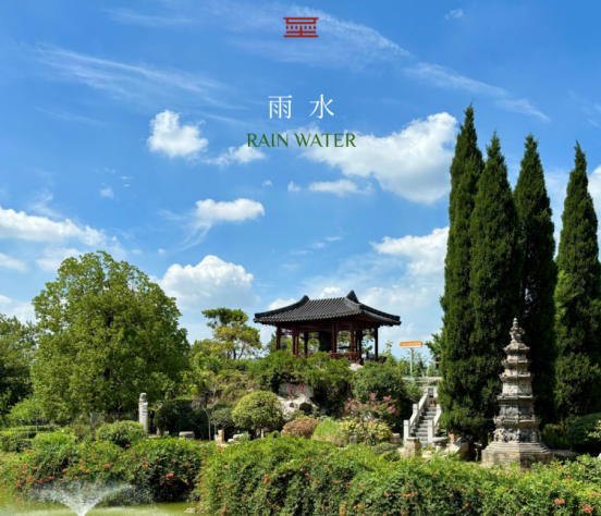 雨水 | 雨水至，携春之细语