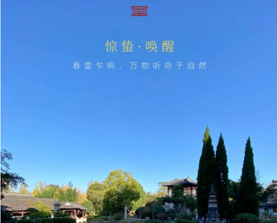 惊蛰 | 唤醒，复苏