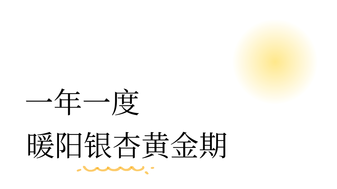 图片1.1.png