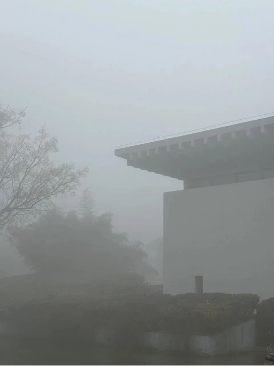 今日圣博ootd | 云游圣博（真·云版）