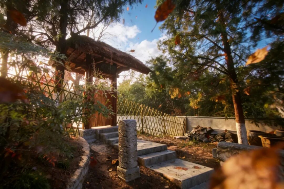 当我用游戏CG风格打开今年的梅花春景...